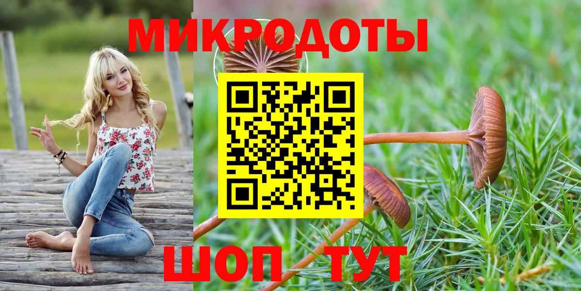 Галлюциногенные грибы Psilocybe Мытищи